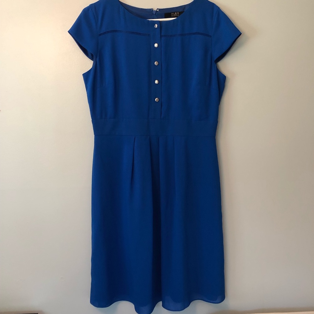 Alex Marie Blue Dress